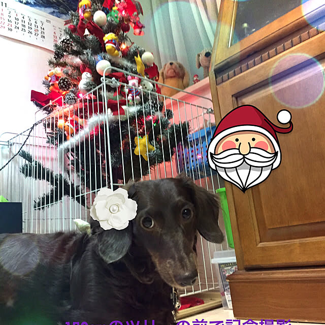 eshinobumさんの実例写真