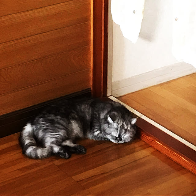Marinさんの実例写真