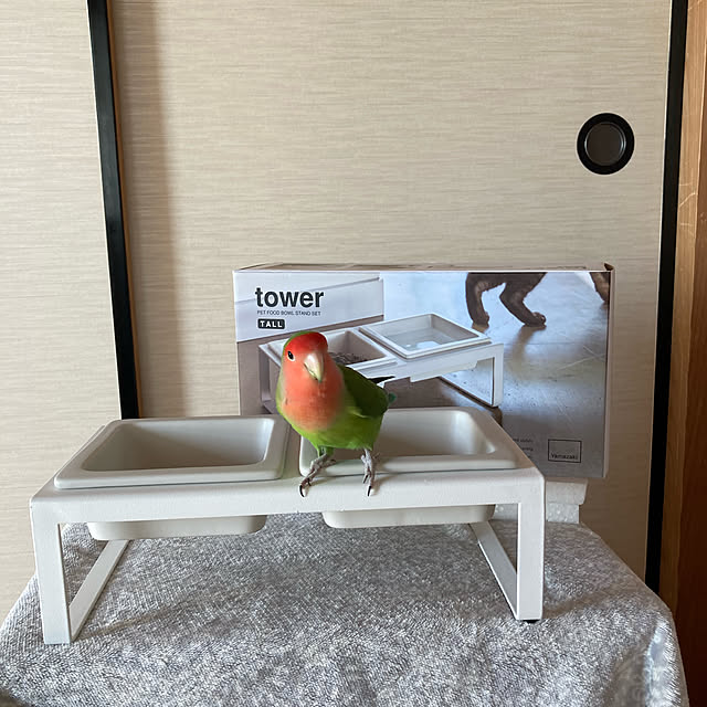toratanさんの実例写真