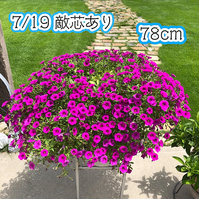 yukiminさんの実例写真