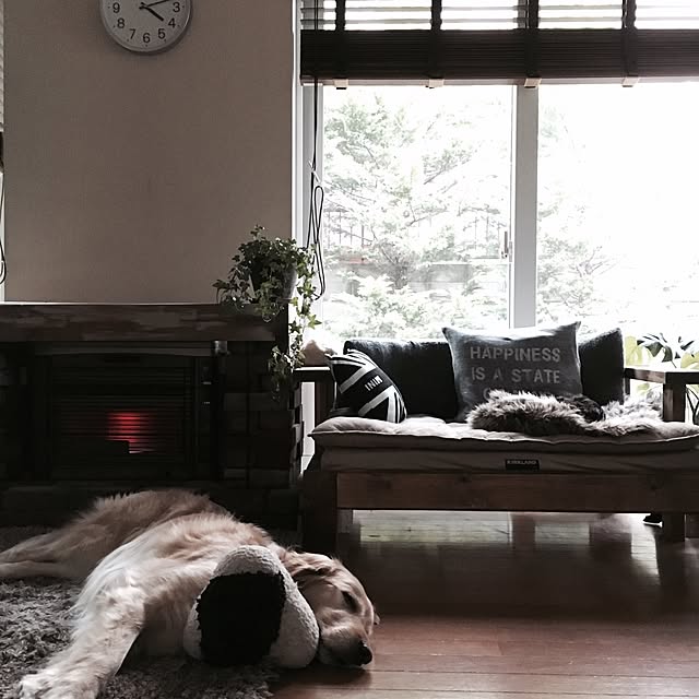 tomowithdogさんの実例写真