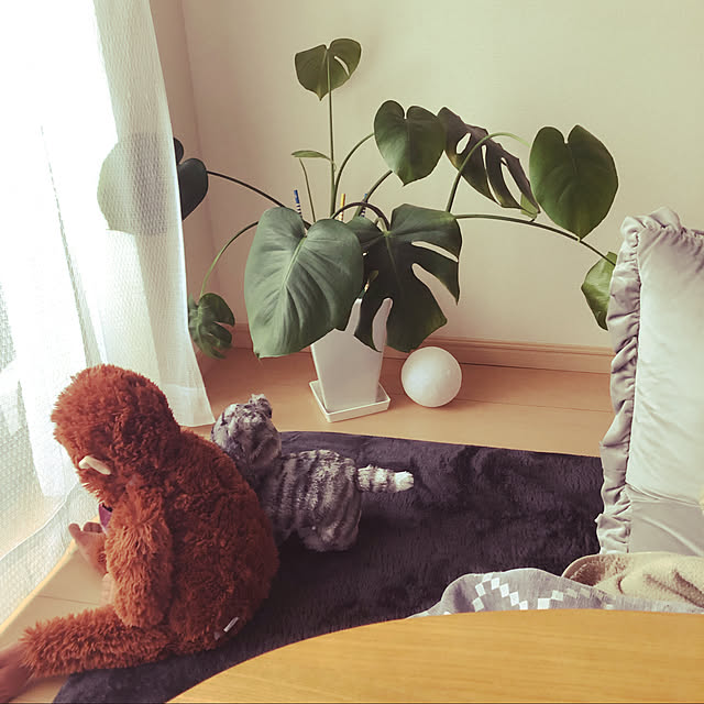 nonさんの実例写真