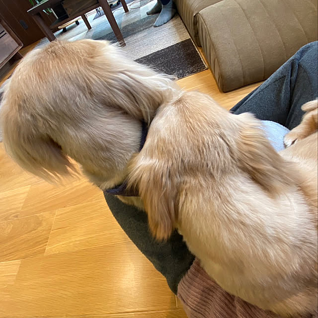 ponponcooさんの実例写真