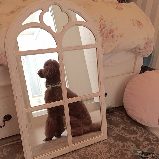 Naomiさんの実例写真