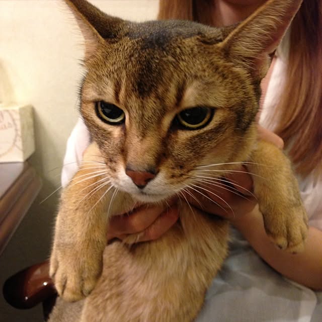 tkさんの実例写真