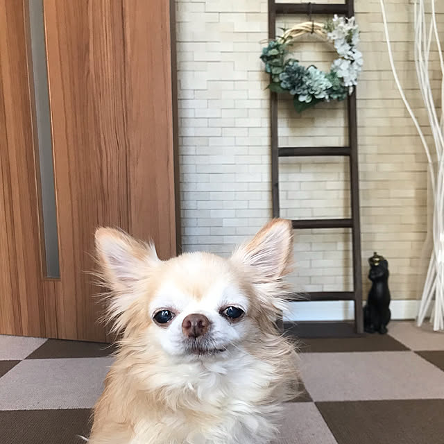 MIUさんの実例写真