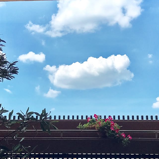 HAZUさんの実例写真