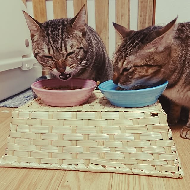 poniさんの実例写真