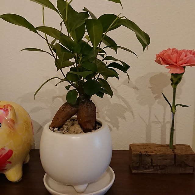 kanaさんの部屋