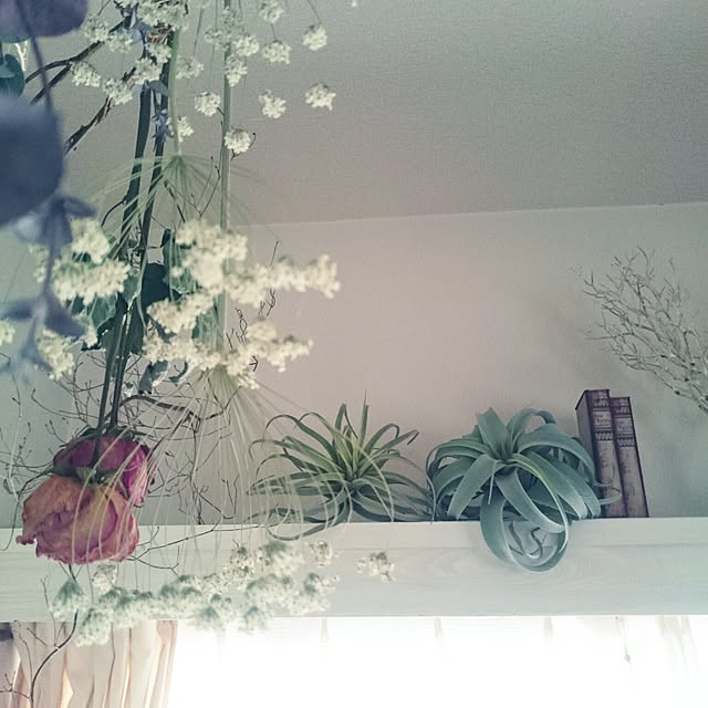 miho.okuさんの実例写真