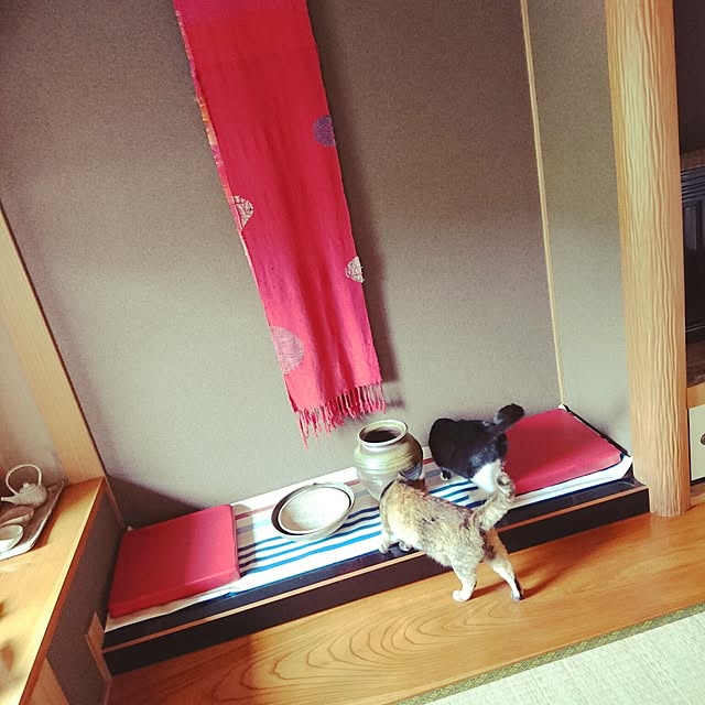 uchizukonyanさんの実例写真