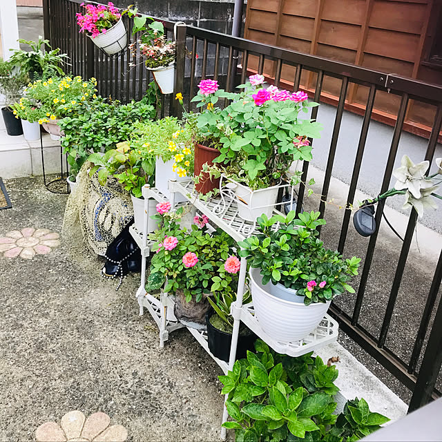 masaさんの実例写真