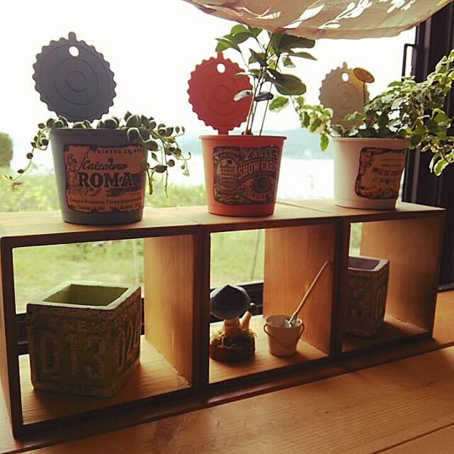 cotocotoさんの実例写真