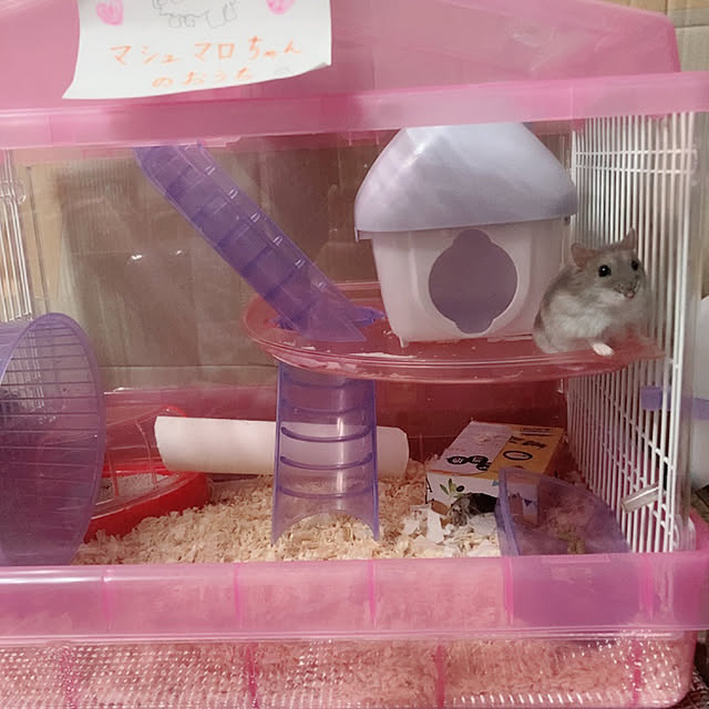 milkさんの実例写真