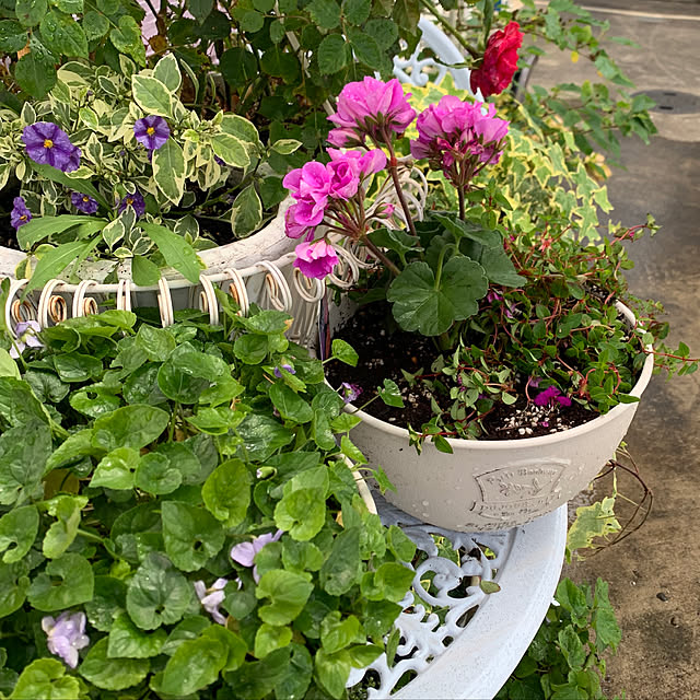 AYUKOさんの実例写真