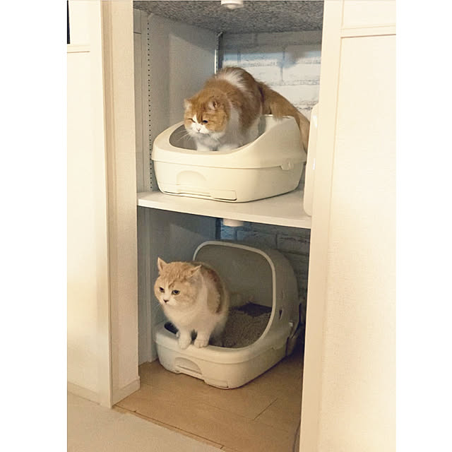 H.Tさんの実例写真