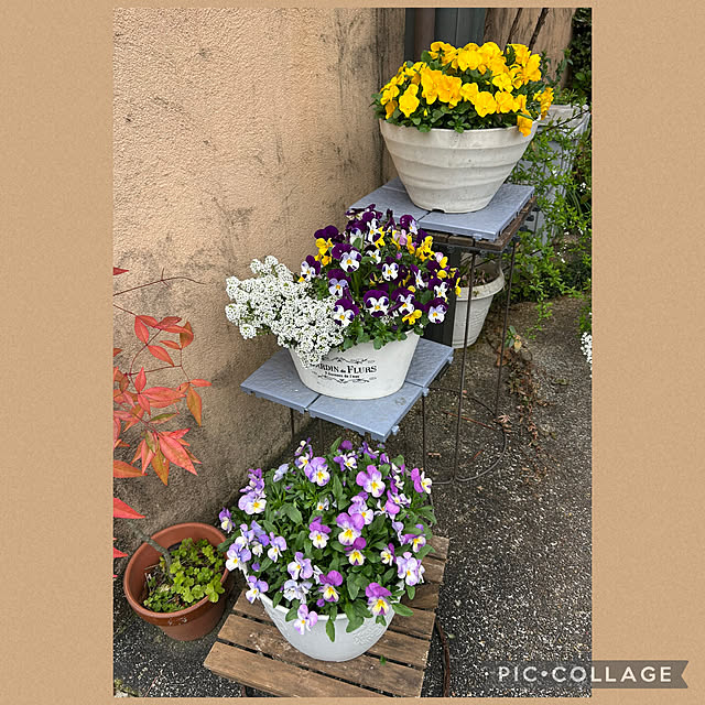 fumikoiさんの実例写真