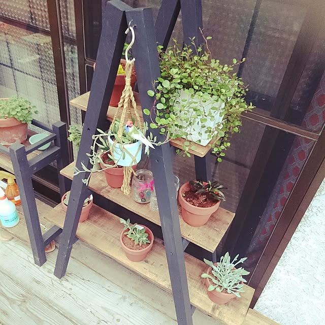 Yukieさんの実例写真