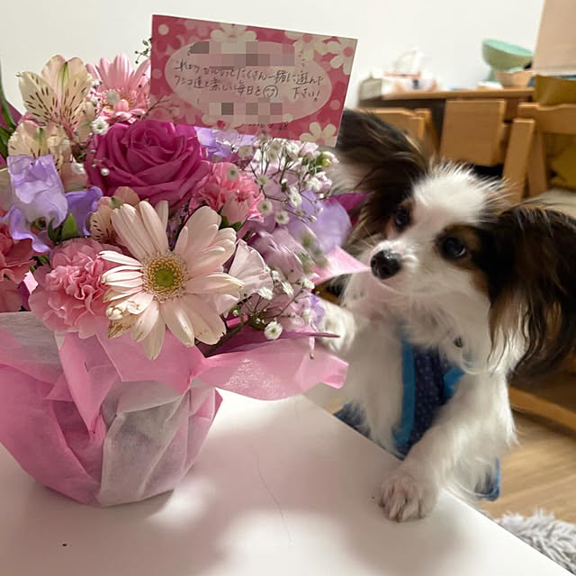 buddykoさんの部屋