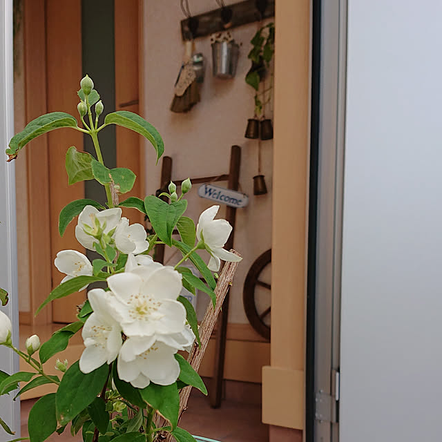 yellowflowerさんの実例写真
