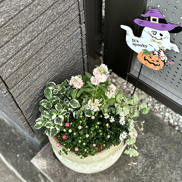 maayaさんの実例写真