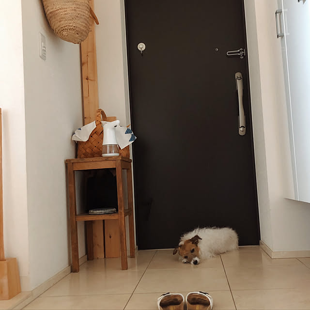 toto.ikさんの実例写真