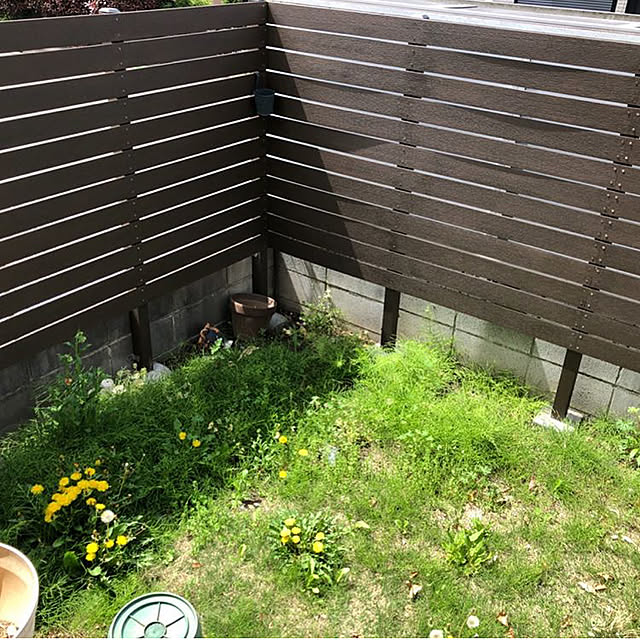 dorigebuさんの実例写真