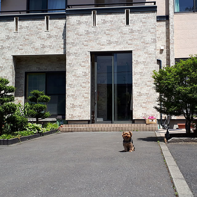 yuki99230さんの実例写真
