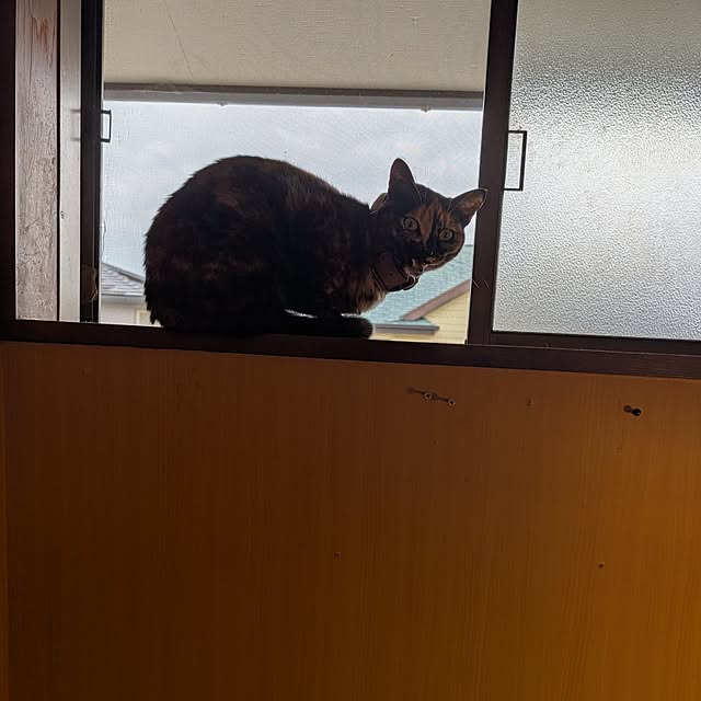 fuchan0930さんの実例写真