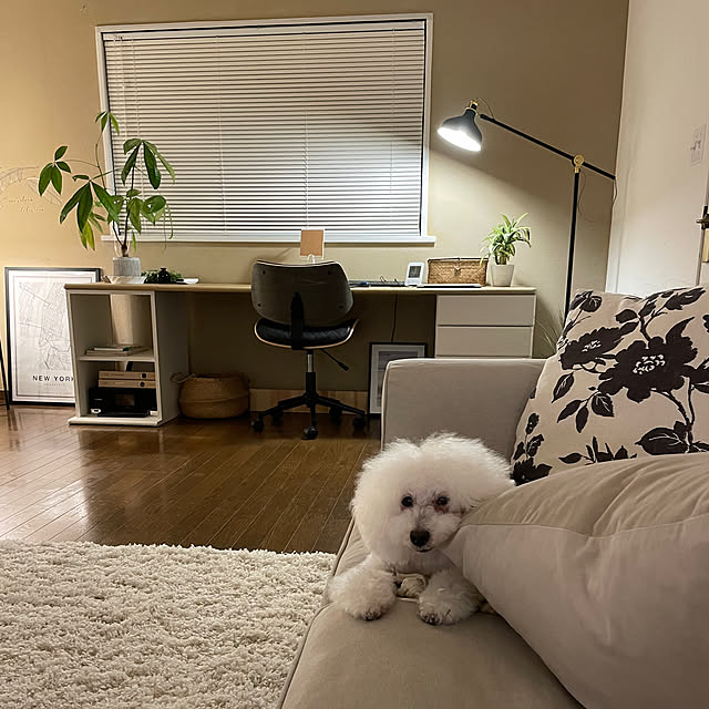 justyさんの部屋