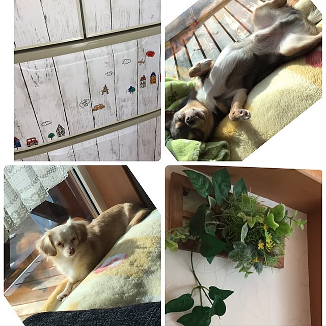 asasasさんの実例写真