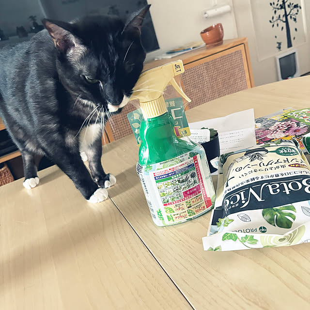 masamasaさんの部屋