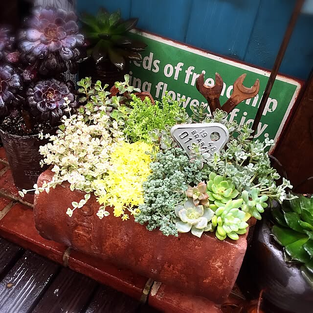 Shishiさんの実例写真