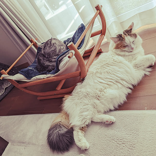 mewさんの実例写真