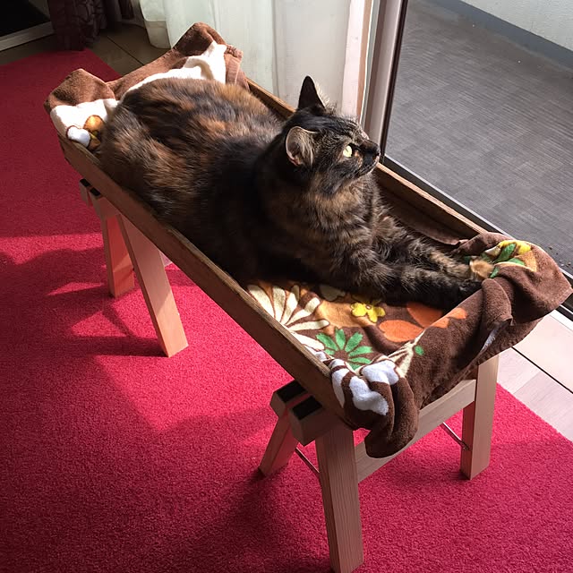 mikomaruさんの実例写真