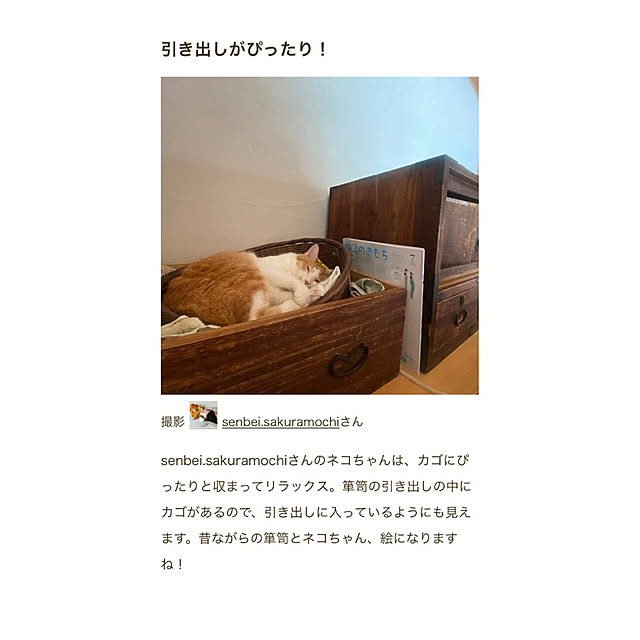 senbei.sakuramochiさんの実例写真
