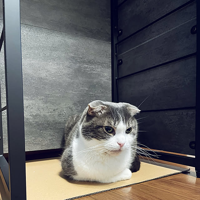 tansukeさんの部屋