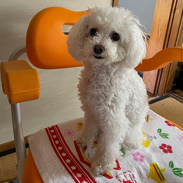 kakoさんの実例写真