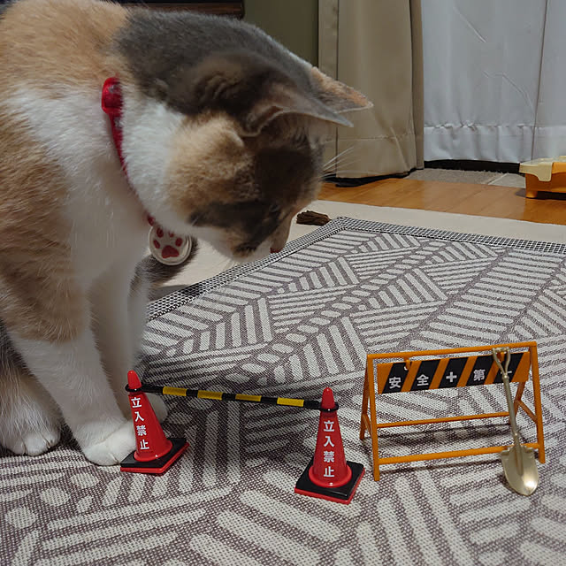 fukuさんの実例写真