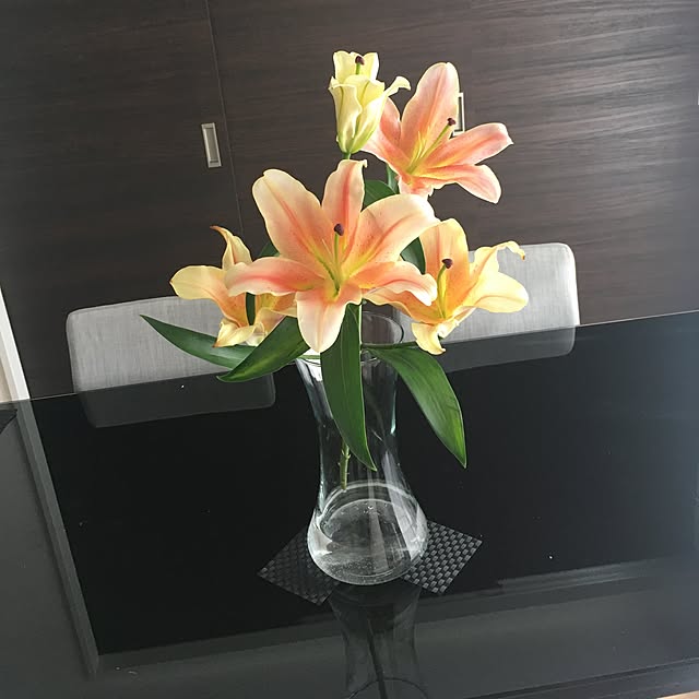 seccoさんの実例写真