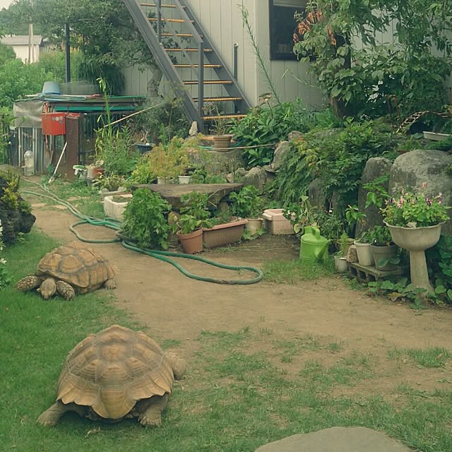 ARA96さんの実例写真