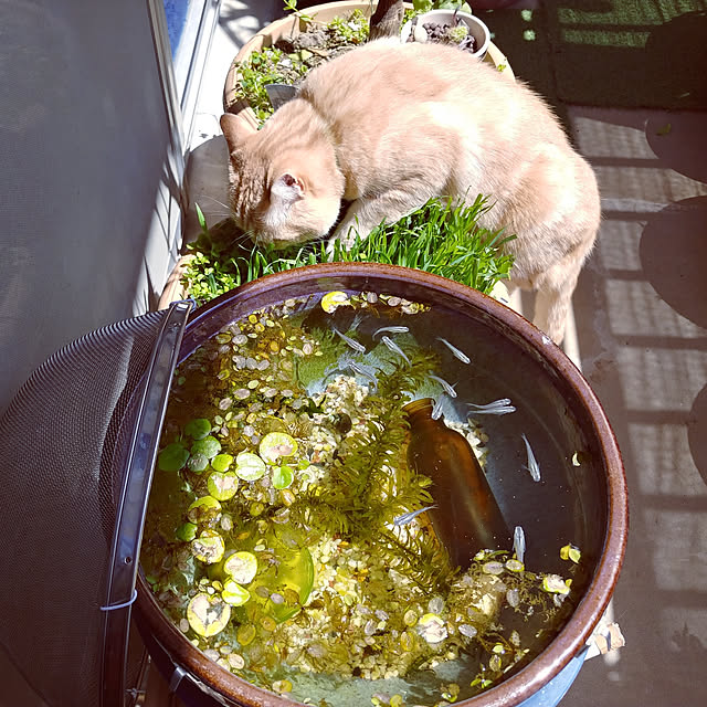 mntcさんの実例写真