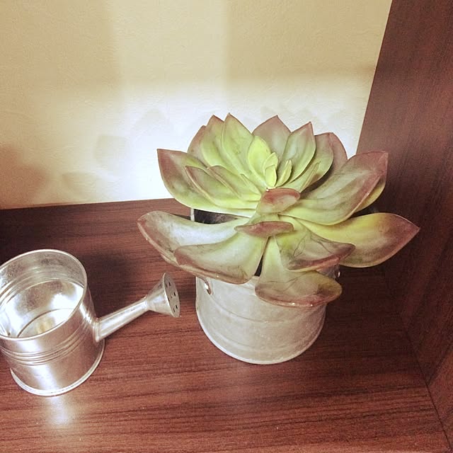 Junkoさんの実例写真