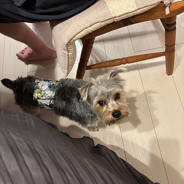 msさんの部屋