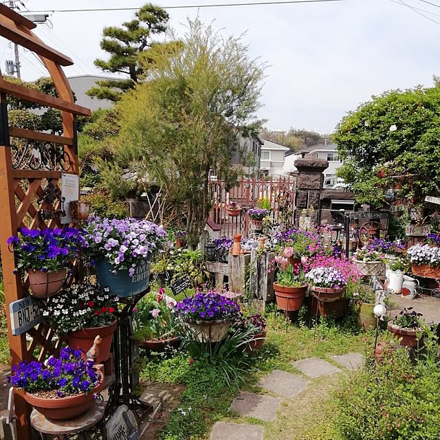 haruiroさんの部屋