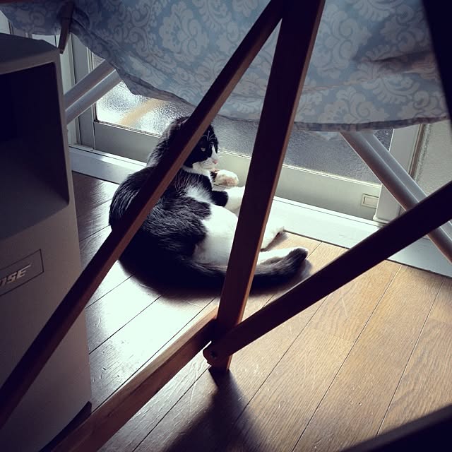 ayaKawasakiさんの実例写真