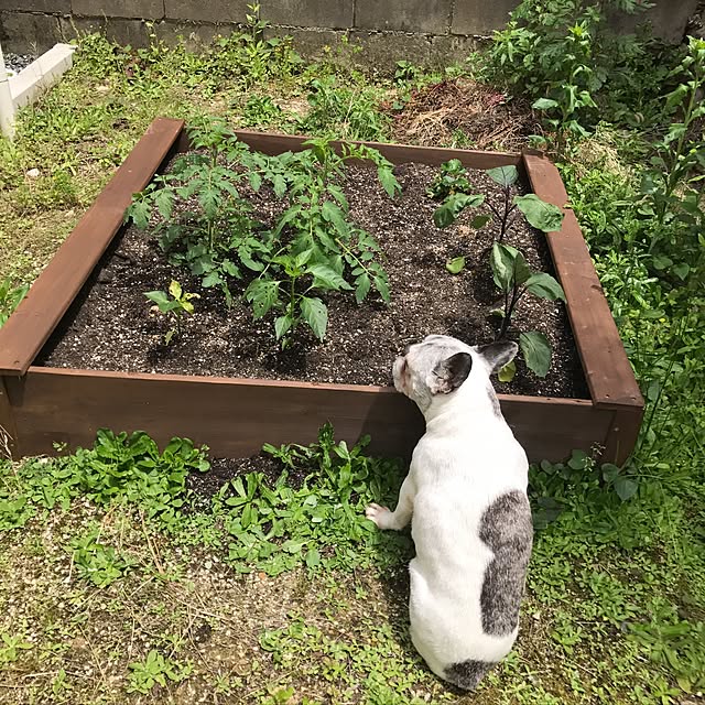 misamariさんの実例写真