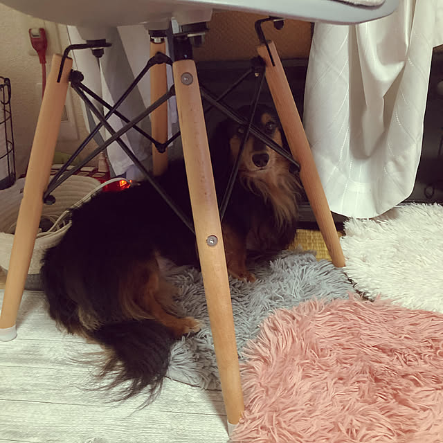 Chikuwaさんの実例写真