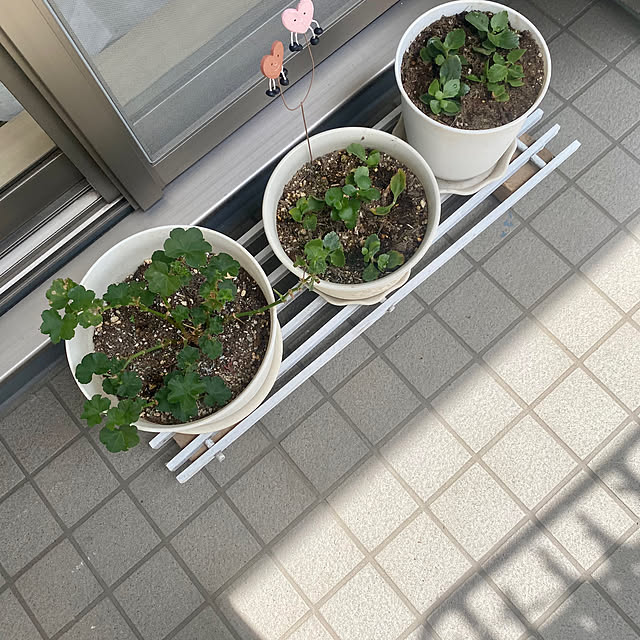 YuuKoさんの実例写真