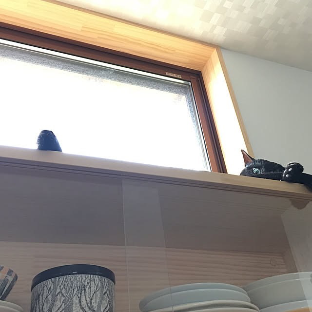 shioconさんの実例写真